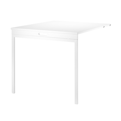 Folding Table